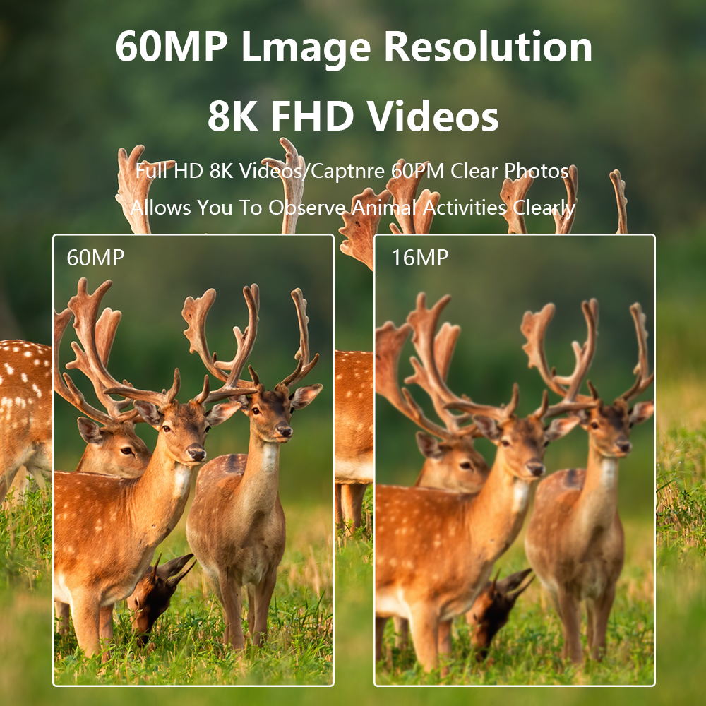 PR801 Ultra Clear 8K Infrared Wildlife Trail Camera Night Vision Hunting Camera