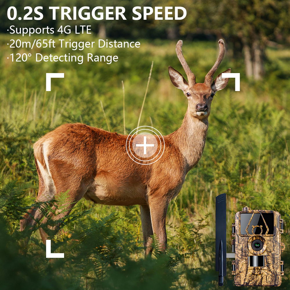 PR801LTE IP66 Waterproof Wireless Wildlife Camera 4G 60MP 8K Hunting Trail Camera (EU Version)