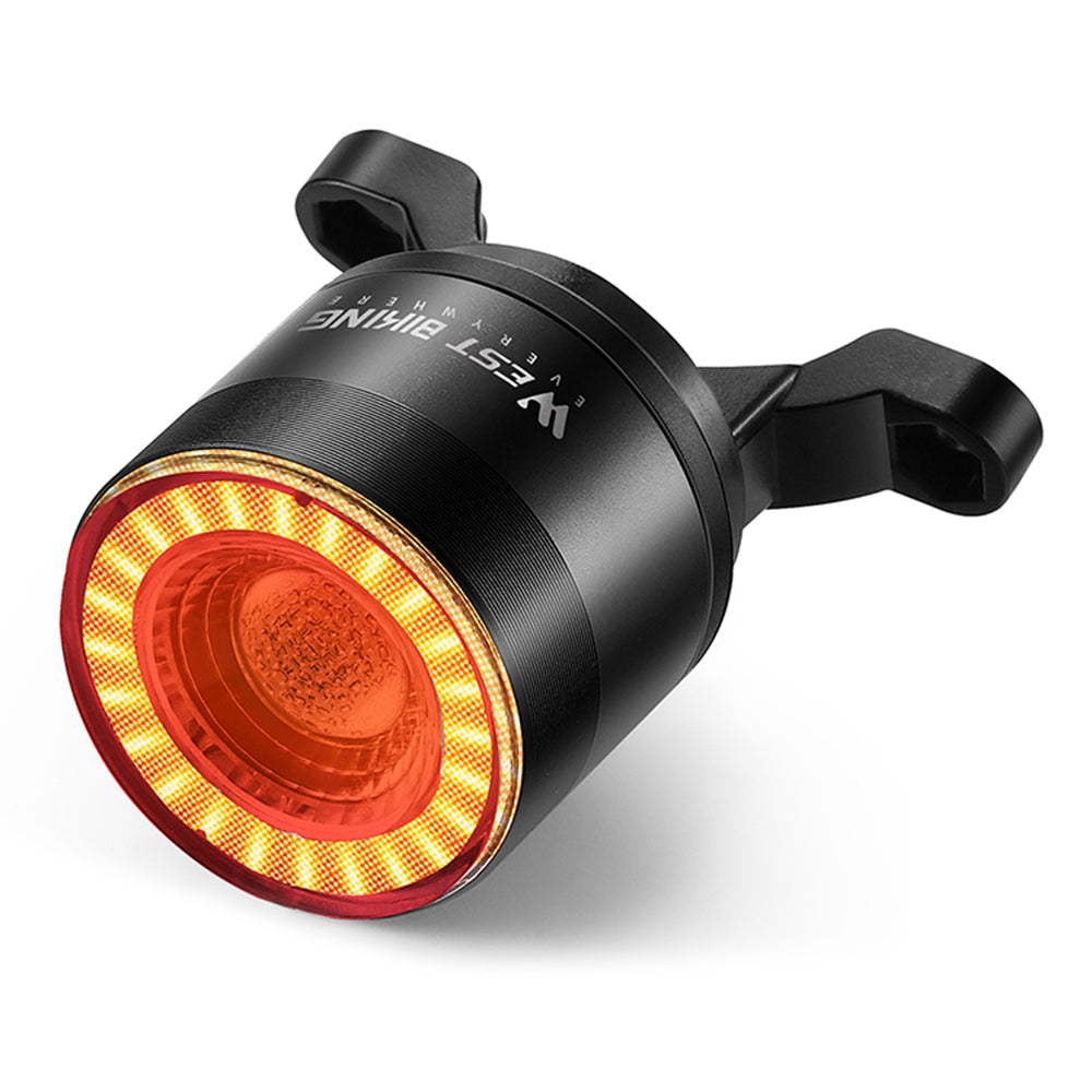 WEST BIKING YP0701420 Smart Sensing Bike Light Colorful LED MTB Taillight Warning Lamp