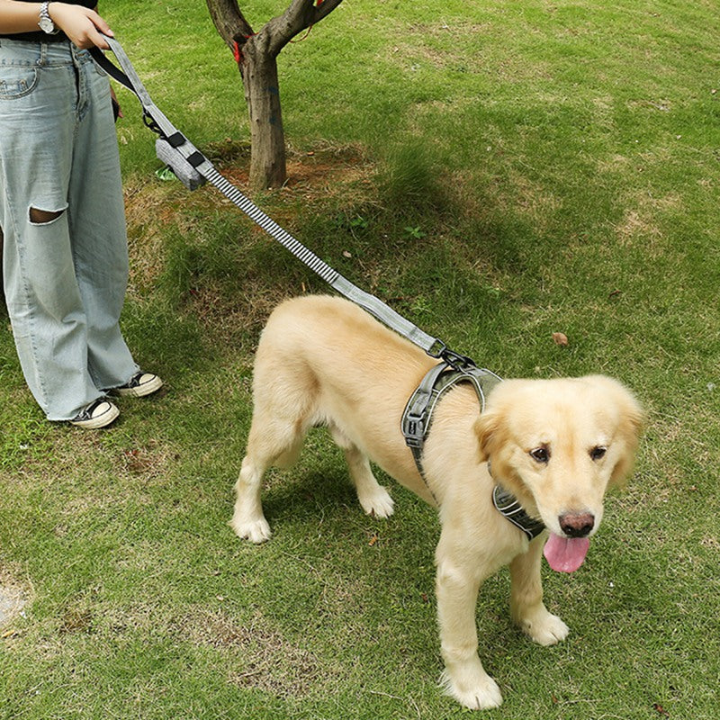LDLC QS-080 Pet Waste Bag Dispenser Zippered Pouch Portable Dog Poop Bag Holder Leash Attachment, Double Zipper - Grey/Yellow