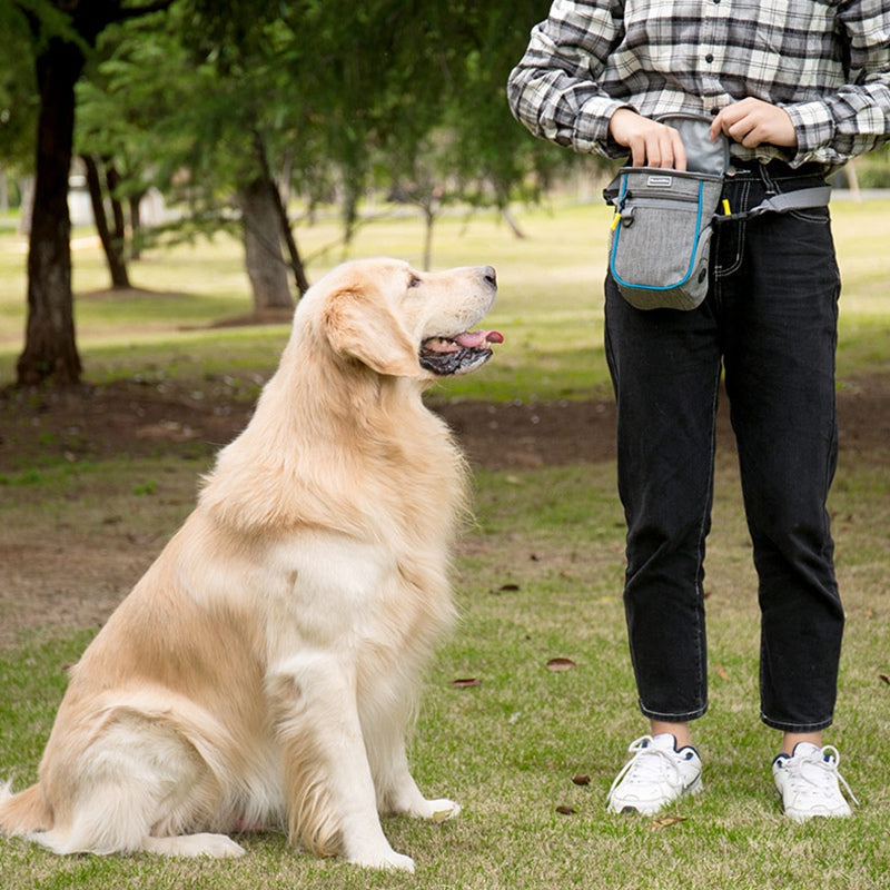 LDLC QS-095 Outdoor Walking Large Capacity Dog Treat Pouch Waterproof Pet Training Waist Bag - Grey/Blue