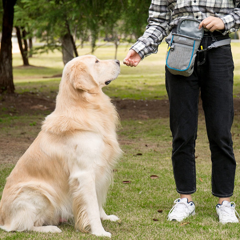 LDLC QS-095 Outdoor Walking Large Capacity Dog Treat Pouch Waterproof Pet Training Waist Bag - Grey/Blue