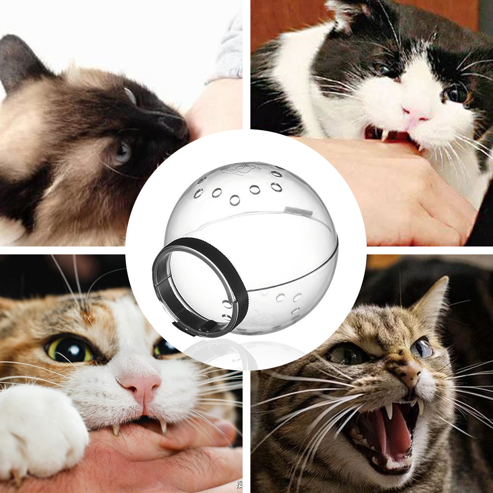 Pet Cat Adjustable Hood Breathable Kitten Transparent Anti-bite Grooming Muzzle - White/M