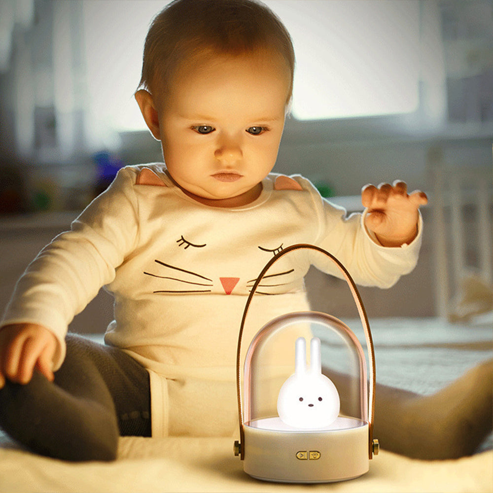 YPH-0119 Portable Pet LED Light Bluetooth Music Box 3D Night Light