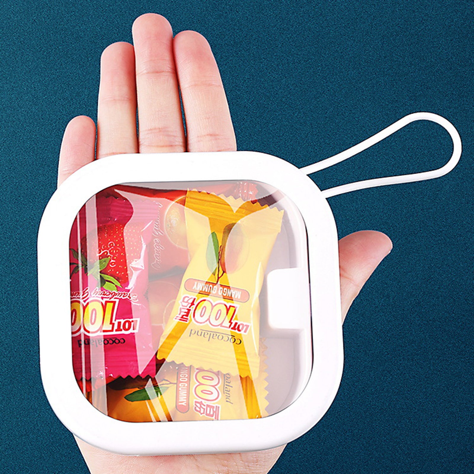 ZY-HZ004 Pocket Size Multi-function Storage Box Organizer with Carry Strap