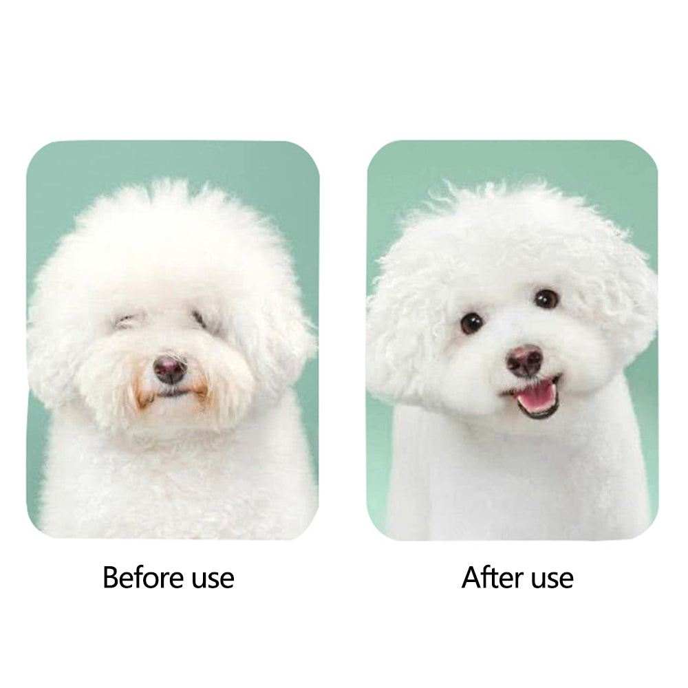 Pet Hair Dryer with Slicker Brush Hair Removal Portable Dog Blower Professional Home Grooming Furry Drying for Small Large Cat Dog - RK51