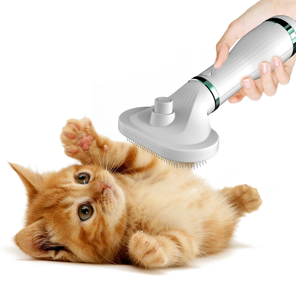 Pet Hair Dryer with Slicker Brush Hair Removal Portable Dog Blower Professional Home Grooming Furry Drying for Small Large Cat Dog - RK51