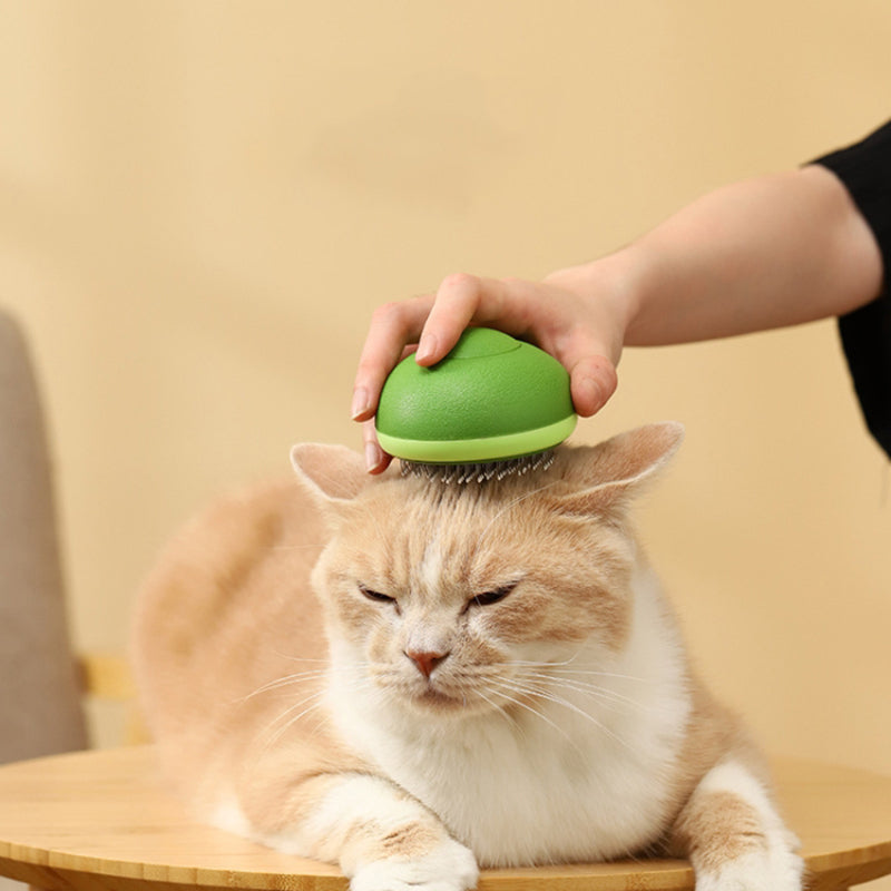 Fruit-shaped Cats Dogs Hair Remover Needle Comb Scrubber Pet Grooming Tool - Green Avocado