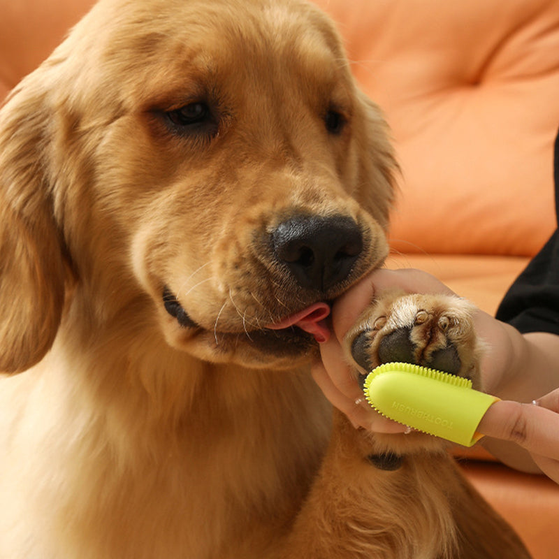 Pet Teeth Cleaning Care Finger Wrap Dog Cat Finger Toothbrush Oral Cleaning Tool - Yellow+Green