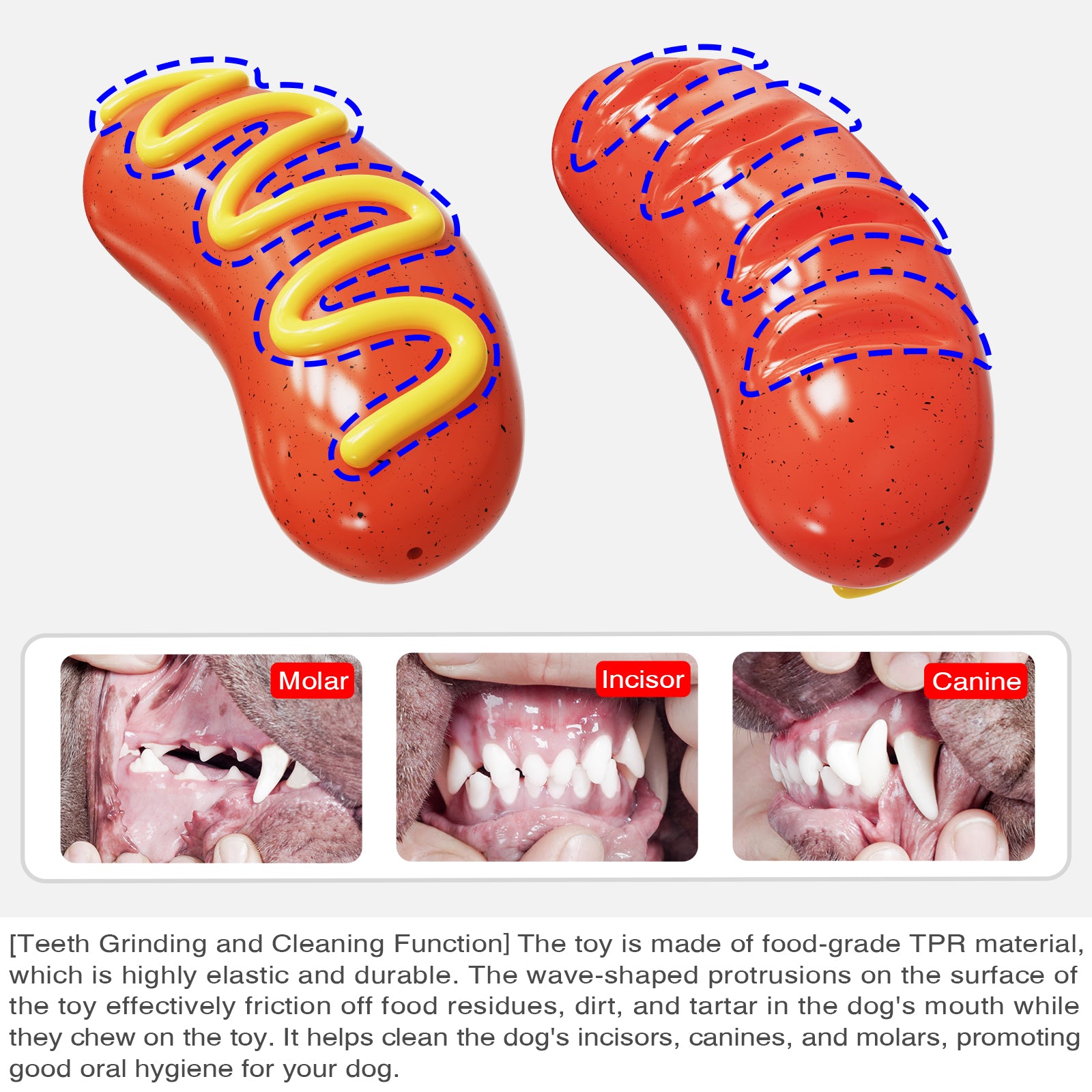 Cute Sausage Design TPR Pet Chewing Squeaky Toy Dog Playing Teething Toy (BPA Free, with FDA Certificate)