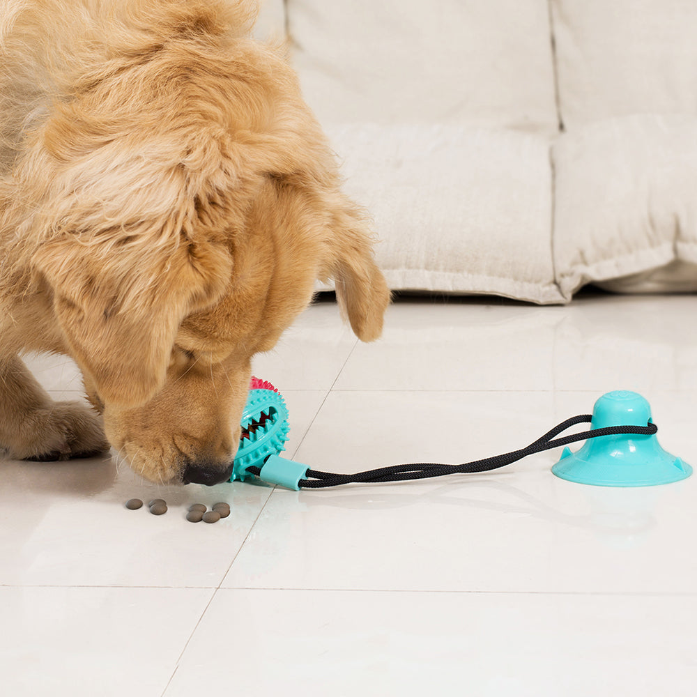 XPA01 Pulling Rope Suction Cup Ball Dog Food Dispenser TPR Dog Bite Tug-of-War Toy (BPA Free, with FDA Certificate) - Red+Blue