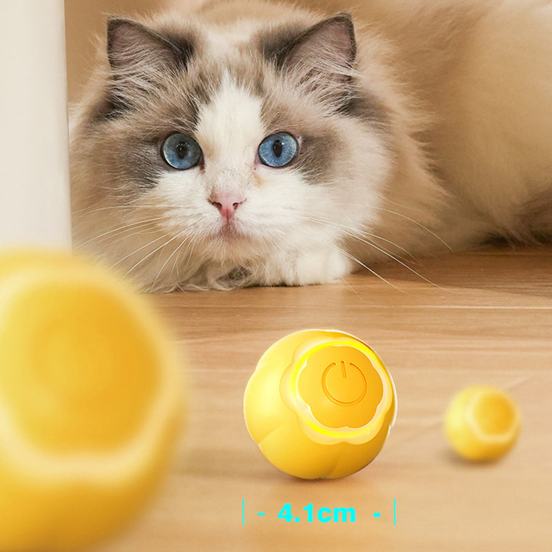 AIWO Pet Smart Rolling Ball Cat Teaser Bite Resistant Dog Interactive Training Toy - Floral / Yellow