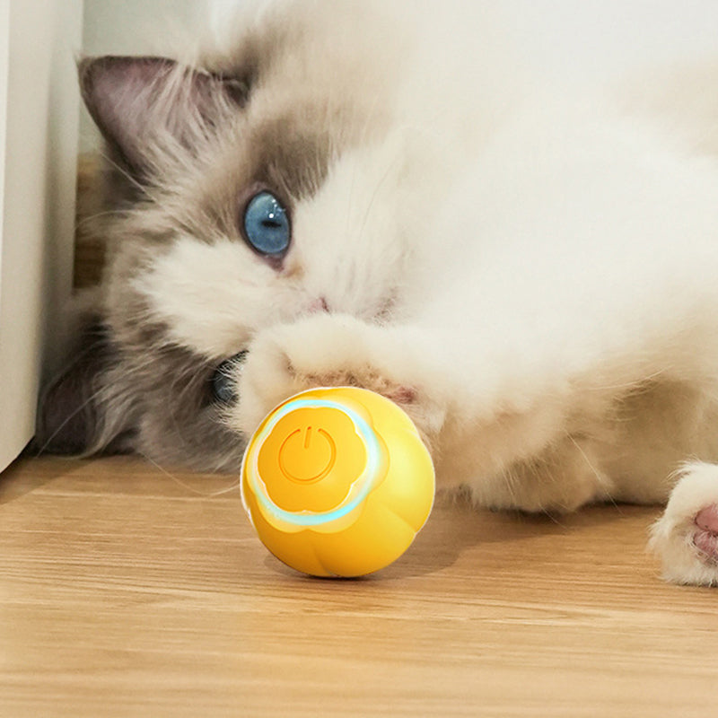 AIWO Pet Smart Rolling Ball Cat Teaser Bite Resistant Dog Interactive Training Toy - Floral / Yellow