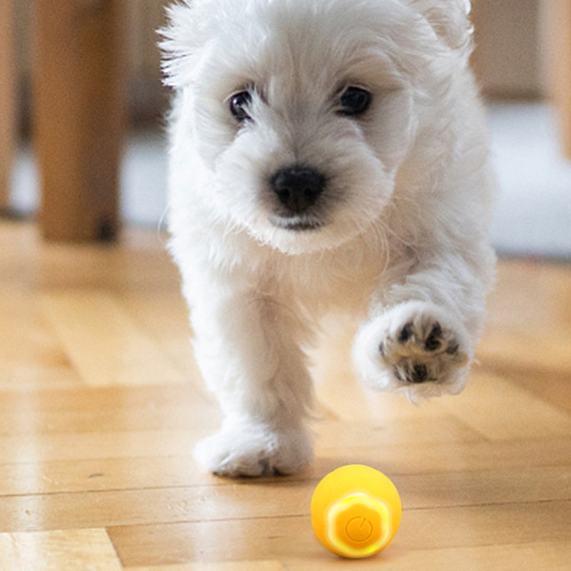AIWO Pet Smart Rolling Ball Cat Teaser Bite Resistant Dog Interactive Training Toy - Floral / Yellow