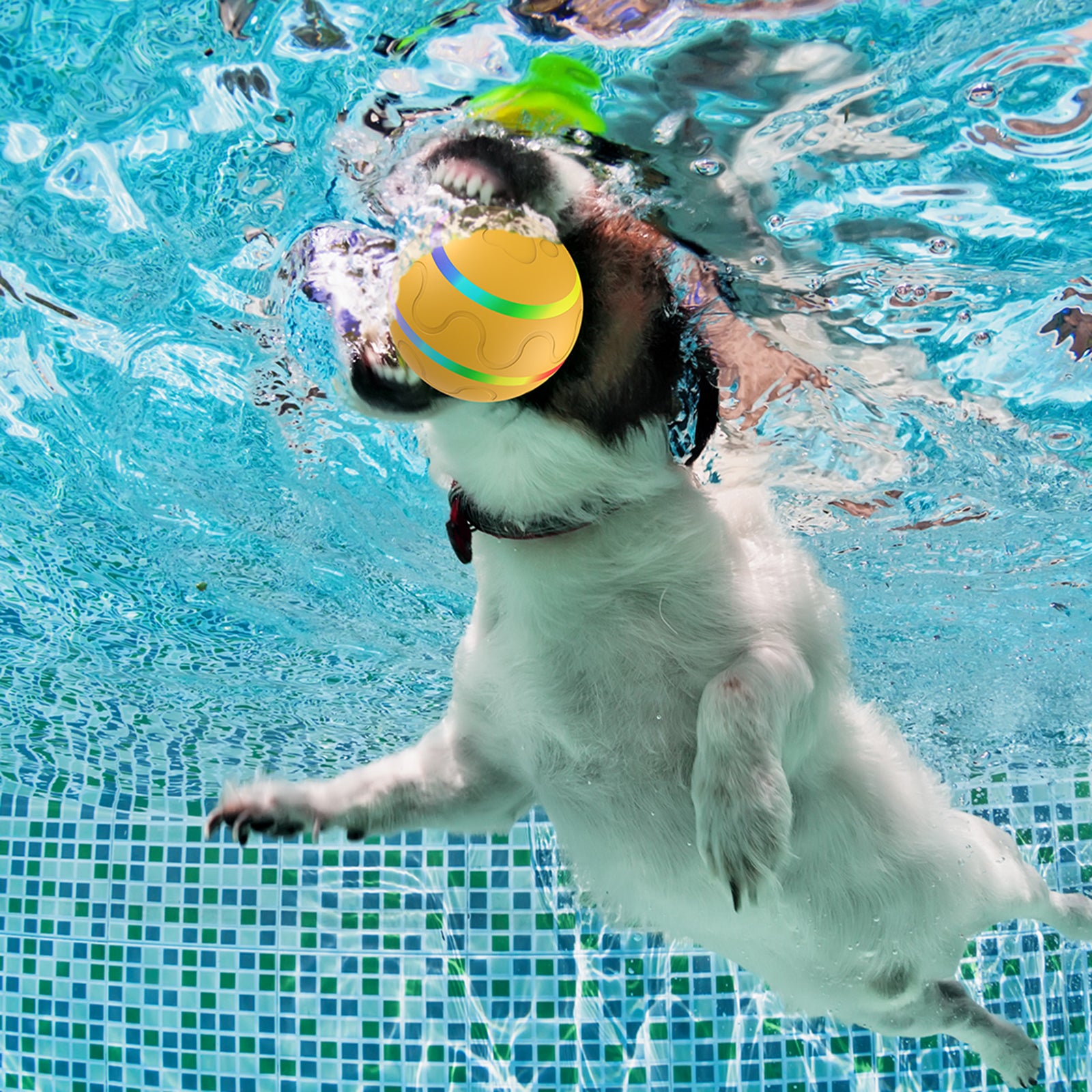 Bite Resistant Cat Dog Puppy Wicked Ball USB Rechargeable LED Light Electric Auto Pet Self-Playing Toy ST - Orange