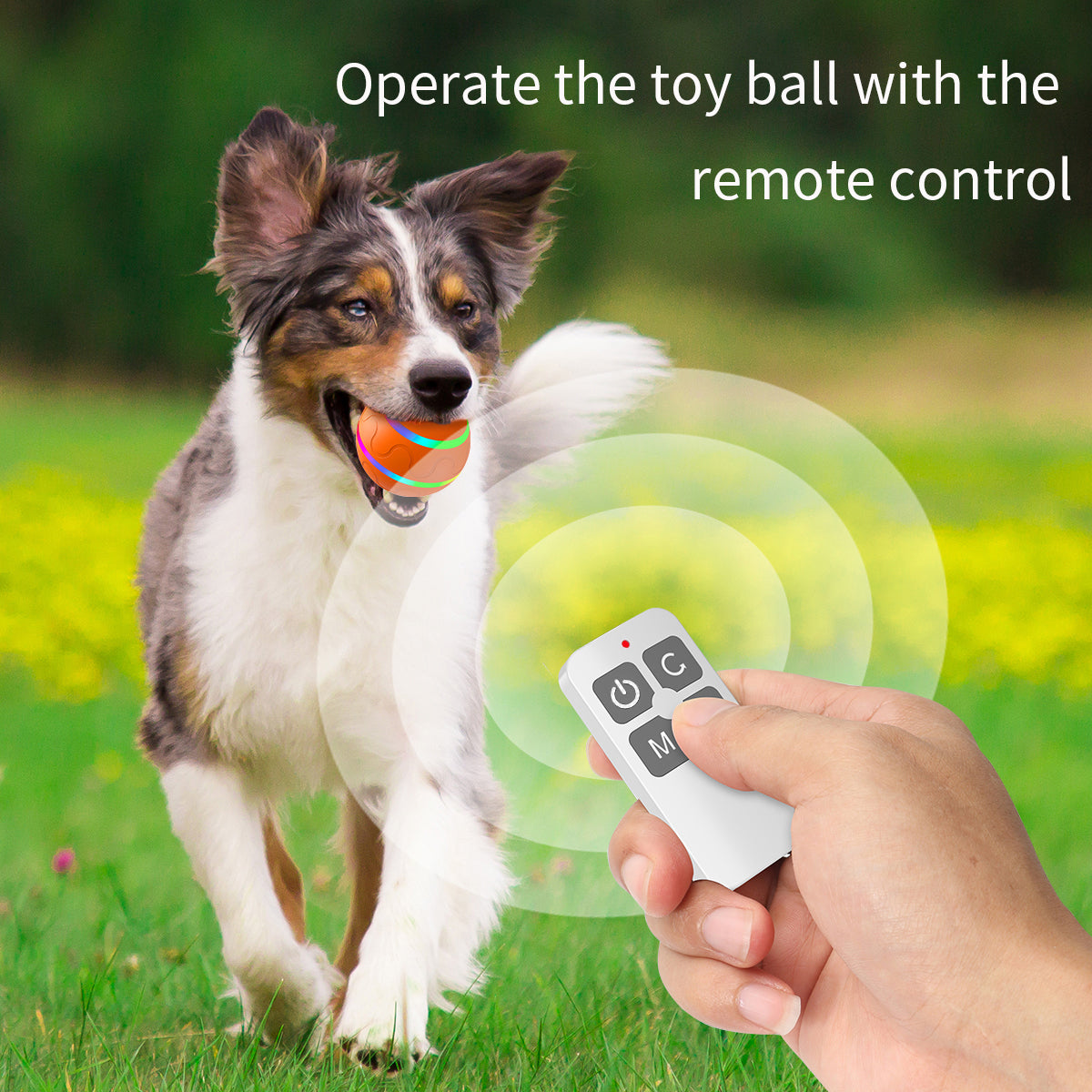 Cat Dog Puppy Wicked Ball USB Rechargeable LED Light Electric Self-Playing Toy with Remote Control ST - Orange