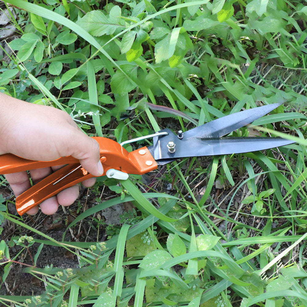 12Pcs / Set Garden Tools Shovel Rake Pruning Shears Watering Can Gardening Tool Kit
