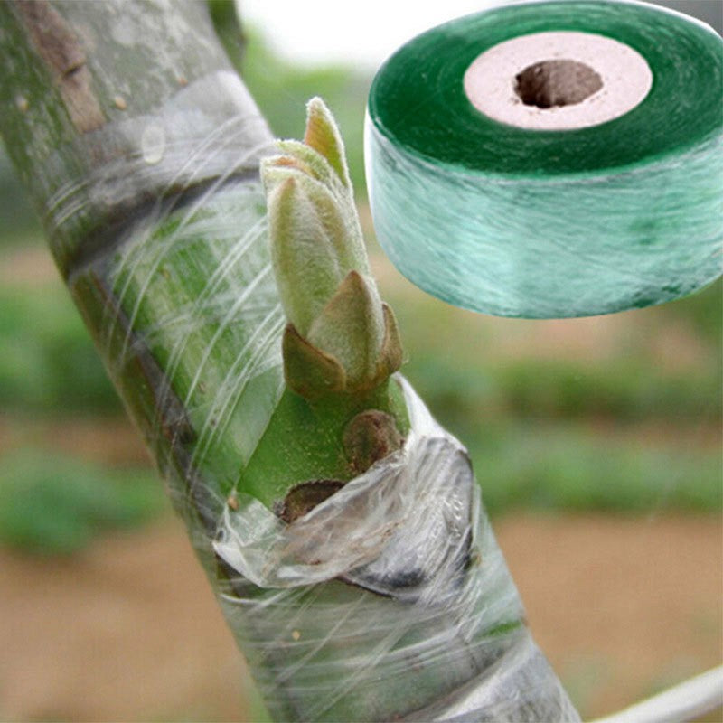 100Mx2CM Grafting Tape PE Self-Adhesive Membrane Strap for Budding Garden Plants