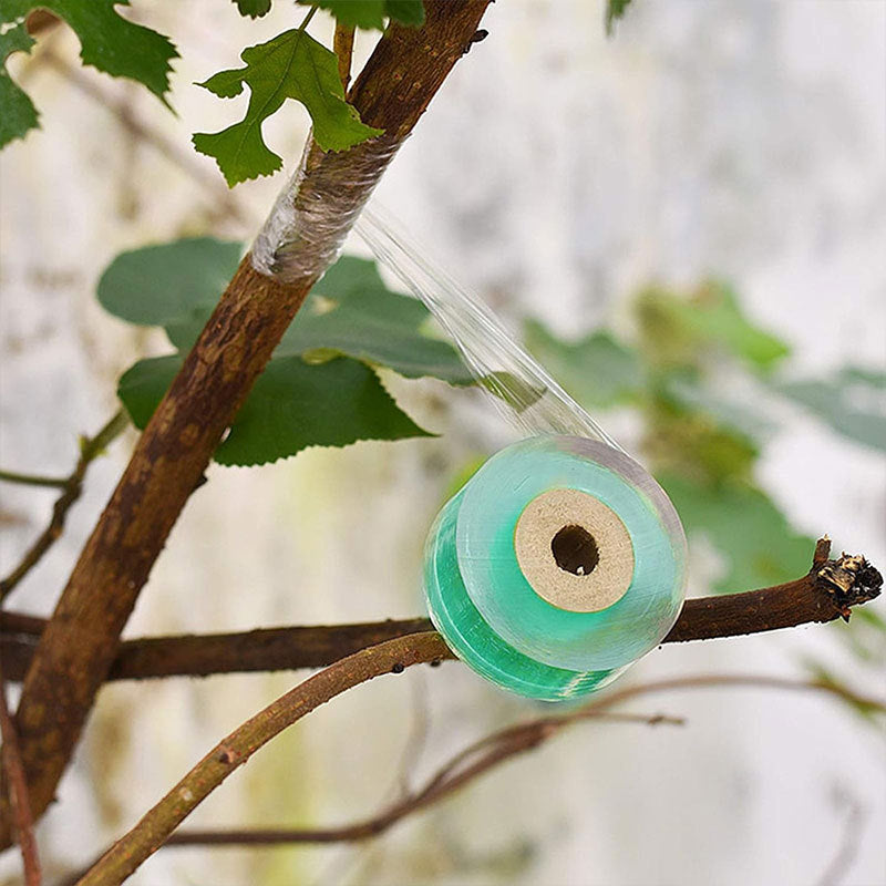 100Mx2CM Grafting Tape PE Self-Adhesive Membrane Strap for Budding Garden Plants