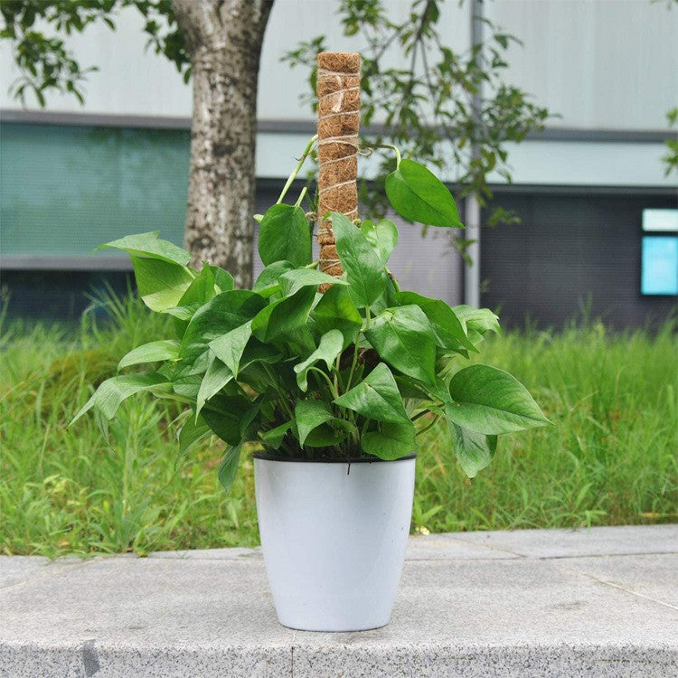 4Pcs 30cm Plant Climbing Rod Vine Climbing Coconut Palm Rod Plant Support Stick with Tools