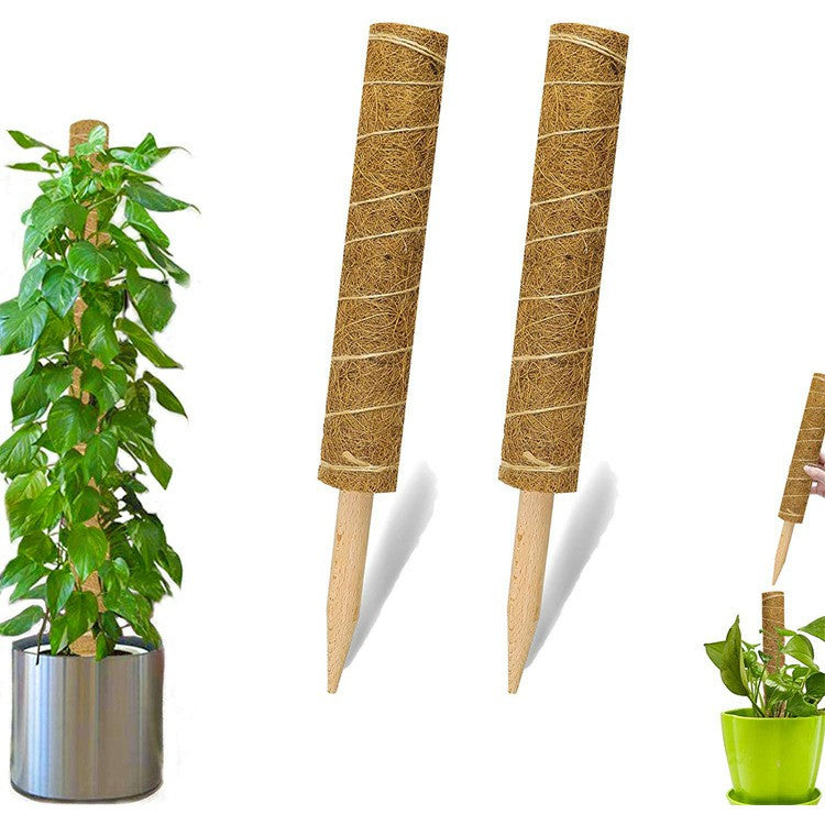 4Pcs 30cm Plant Climbing Rod Vine Climbing Coconut Palm Rod Plant Support Stick with Tools