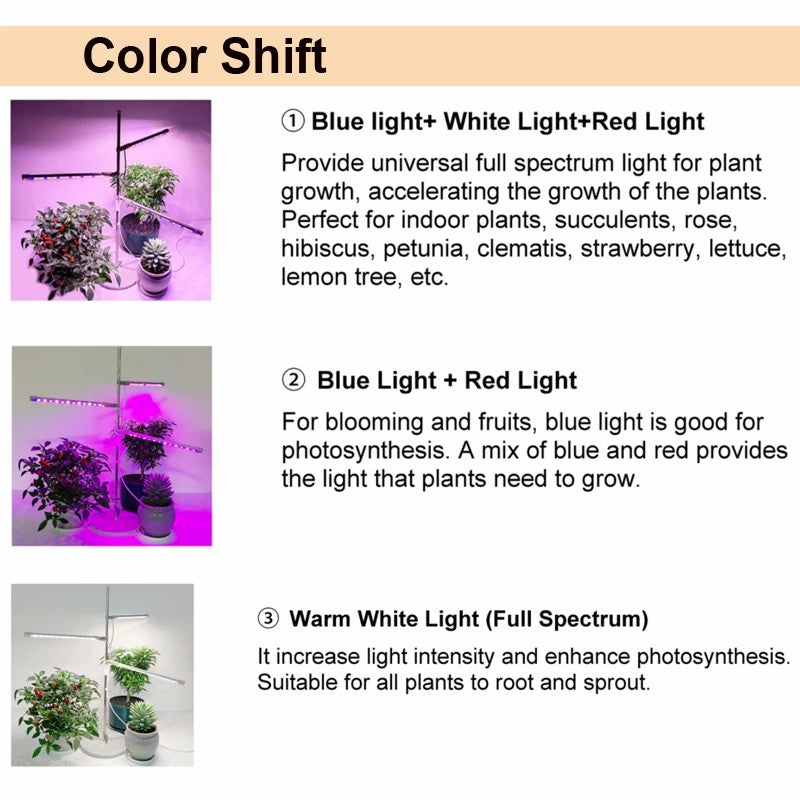 XYM-Grow Light(4000+RB)-TX-WX 10W Indoor Succulent Plant Vegetable Fruit Growth Lamp Full Spectrum Plant Light Bar