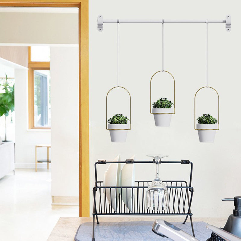 001- ZJ-SS01 Hanging Planters 3-in-1 Indoor Plant Flower Pot Holder