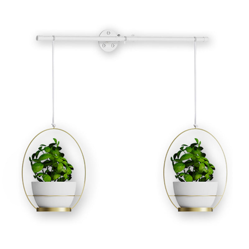 001 Hanging Flower Pots Wall-Mounted Planter Rod with Detachable Baskets (Set of 2)