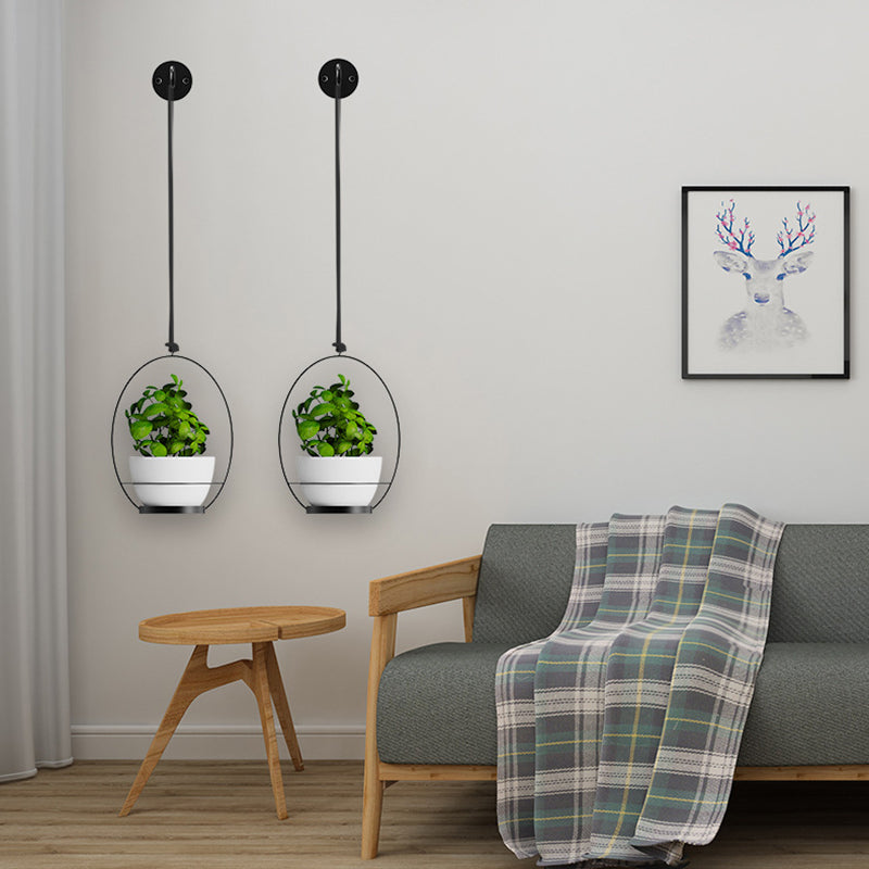 001 2-in-1 Hanging Planter Basket Wall-mounted Indoor Flower Pot Holder with Hooks