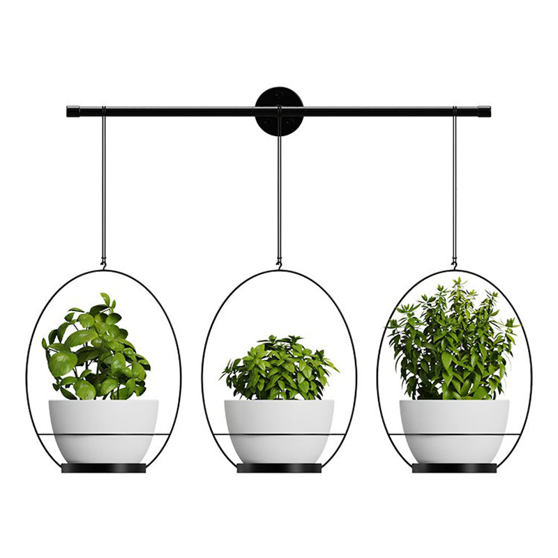 001- ZJY-GT3 ZJY-GT2 Set of 3 Hanging Plant Hangers Detachable Wall-Mounted Flower Pot Holder