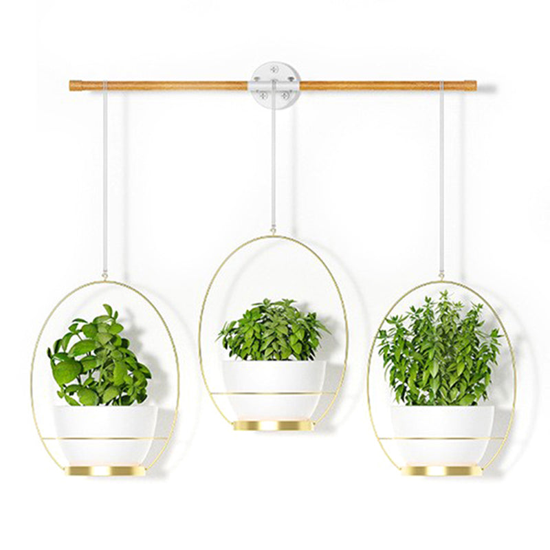 001- ZJY-GT3 ZJY-GT2 Set of 3 Hanging Plant Hangers Detachable Wall-Mounted Flower Pot Holder