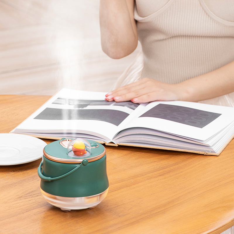 ICARER FAMILY Dual Spray Outlet Portable Humidifier Built-in 1200mAh Battery Desktop Mist Diffuser