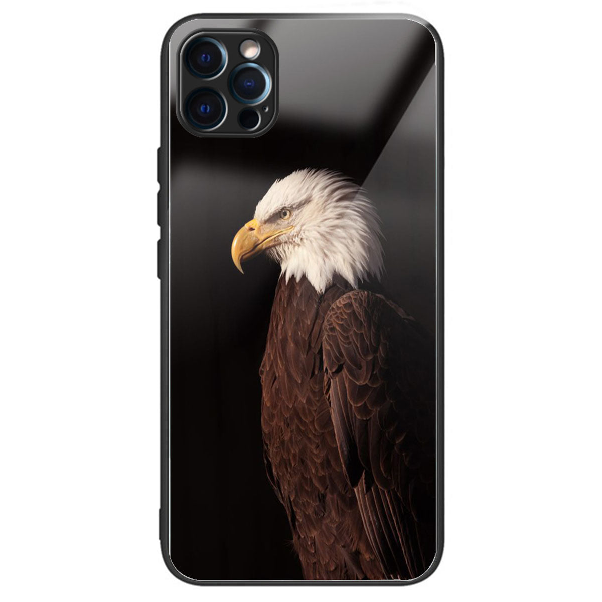 For iPhone 15 Pro Max Tempered Glass+TPU Case Pattern Printed Phone Cover - Footprint