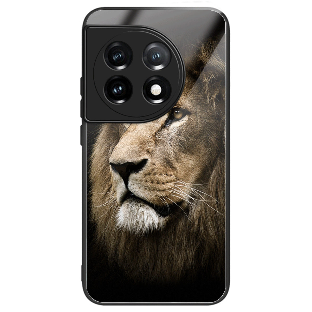 For OnePlus Ace 3 5G / 12R 5G Pattern Printing Case Tempered Glass Back + TPU Frame Cover