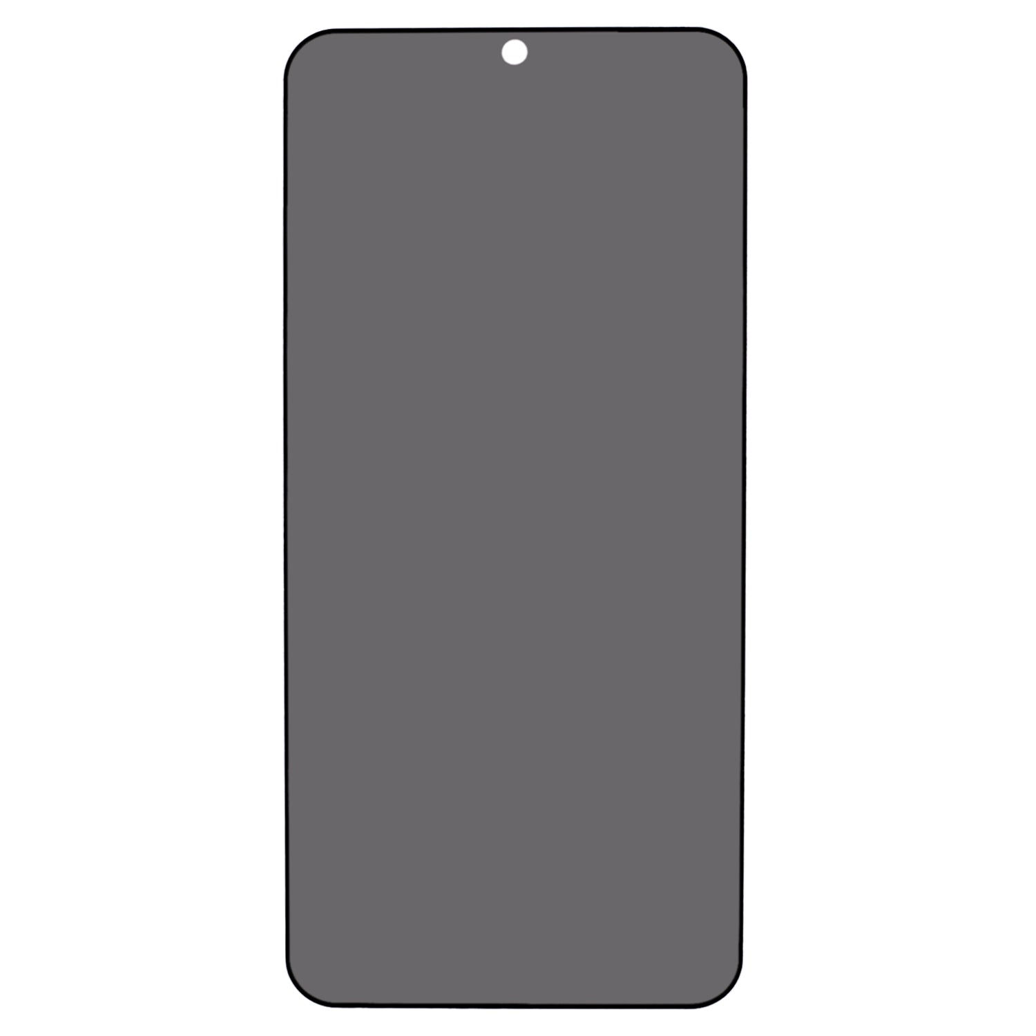 For Samsung Galaxy S24 Privacy Protection Screen Protector Silk Printing Black Edge (Fingerprint Unlock)