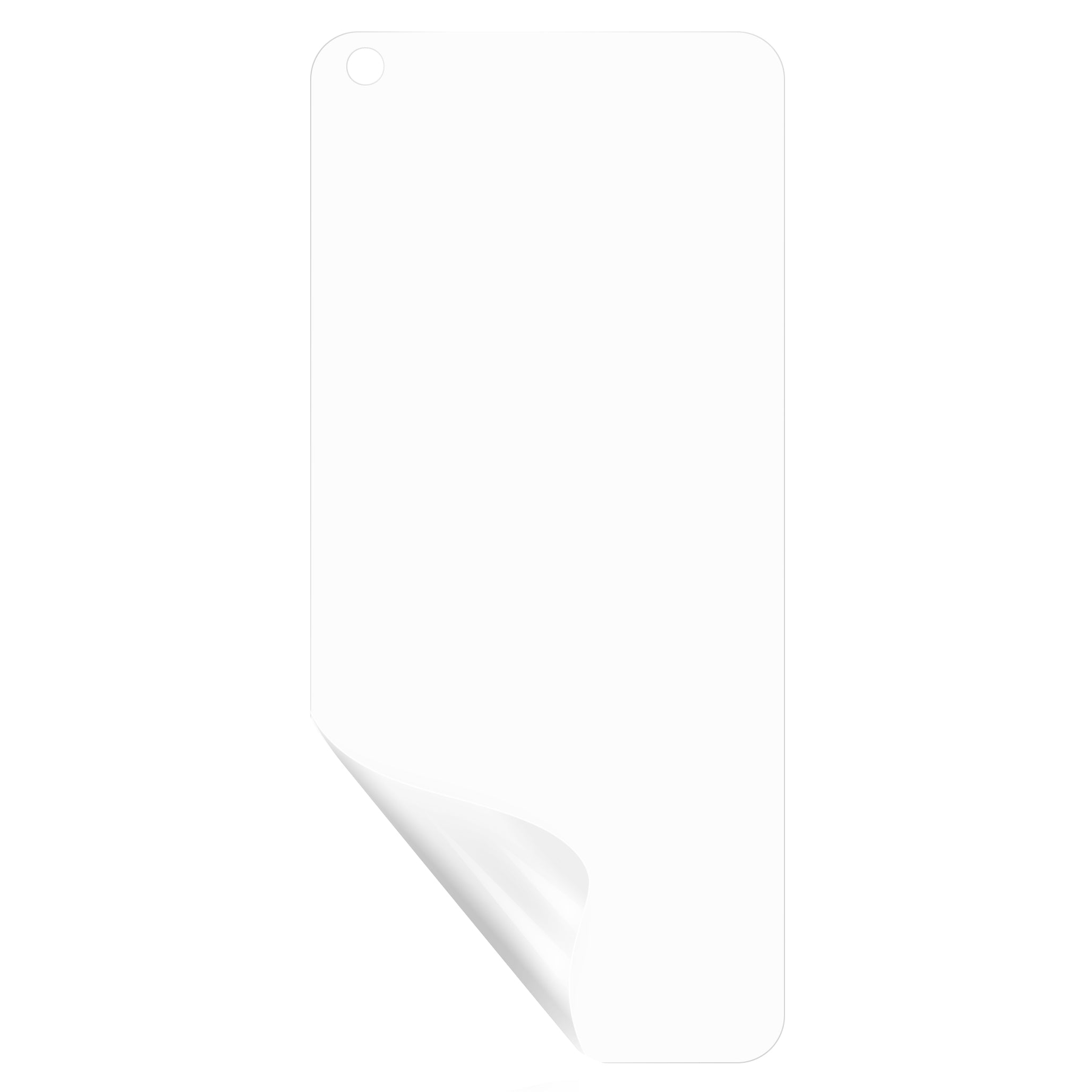 For Oppo Reno11 5G (Global) PET Protective Film High Definition Screen Protector