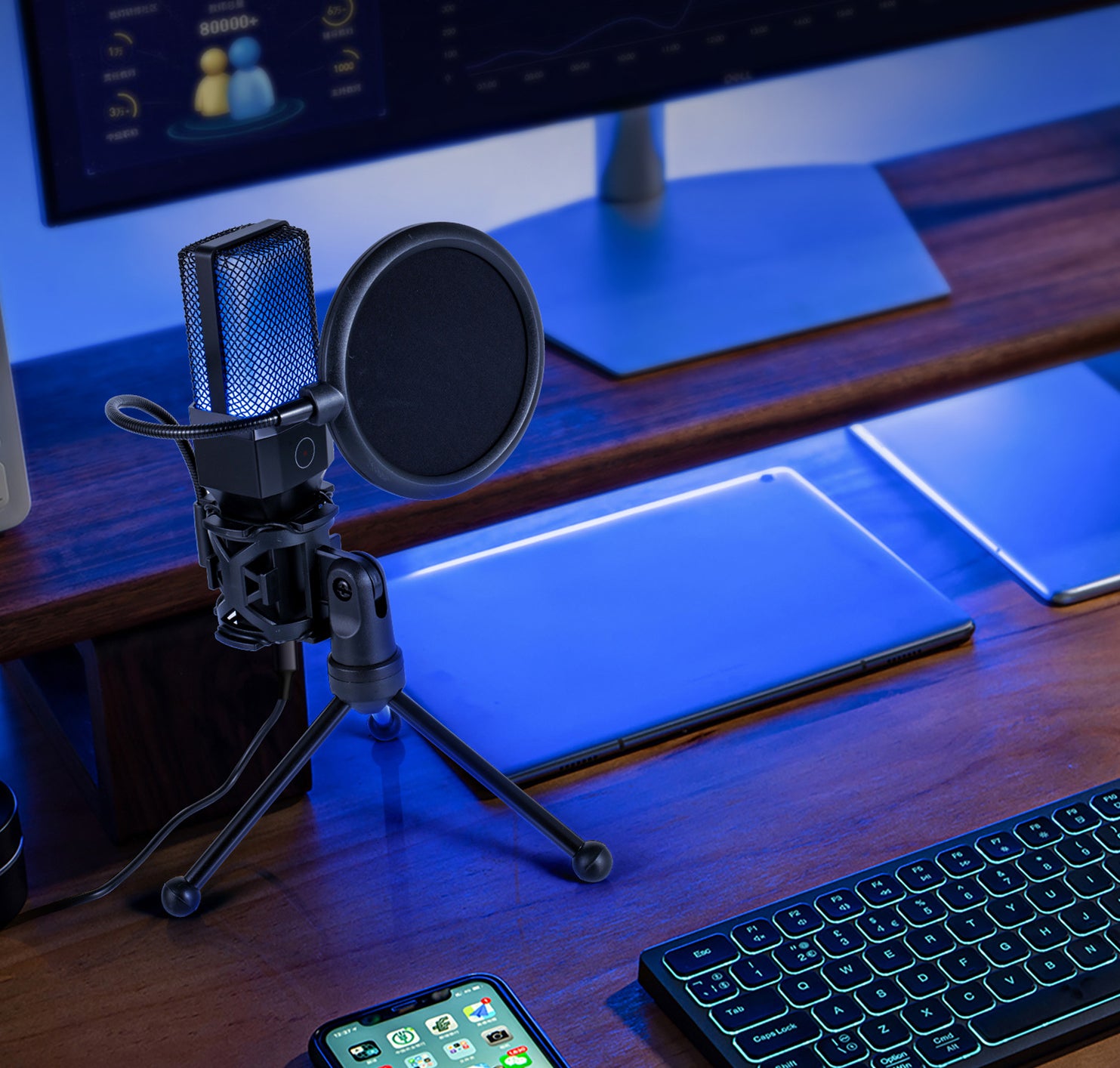 YANMAI X1R RGB Light USB Wired Microphone Recording E-sports Game Desktop Condenser Mic