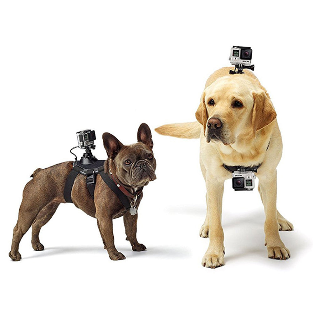 GP197 Action Camera Mount Pet Dog Harness Adjustable Chest Strap