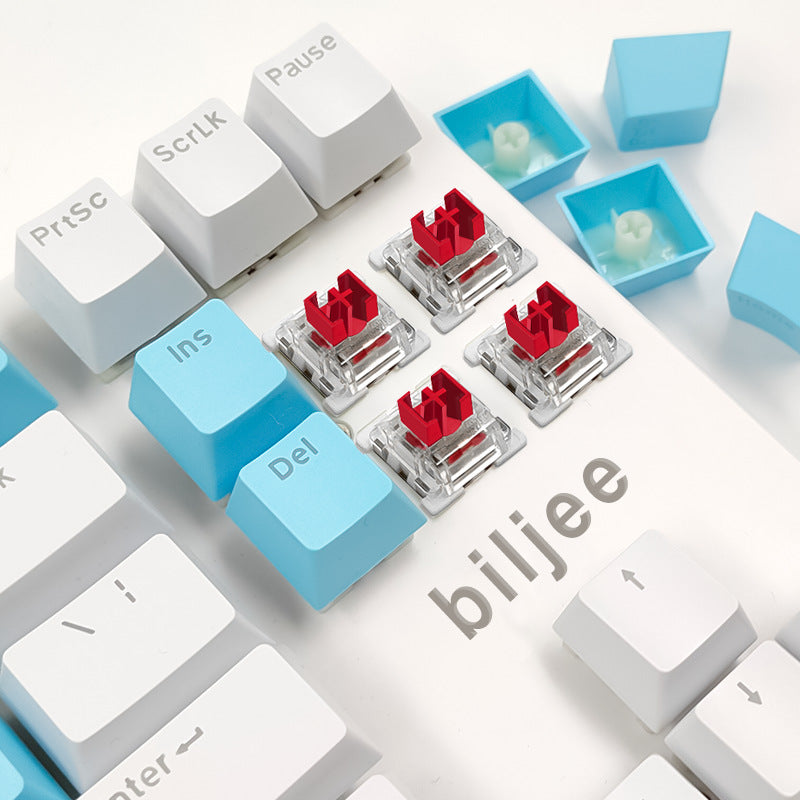 BIOJEE B87 Wired Mechanical Keyboard 87 Keys Gaming Keyboard Switch Keyboard with Backlit for E-Sports