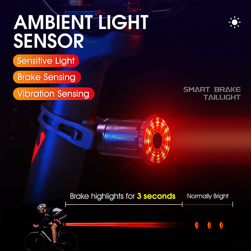 WEST BIKING YP0701317 Seat Cushion/Seat Post Mount USB Charging Bike LED Tail Light Waterproof Smart Brake Induction Cycling Warning Rear Lamp