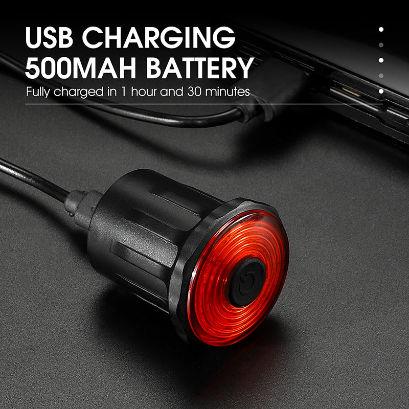 WEST BIKING YP0701317 Seat Cushion/Seat Post Mount USB Charging Bike LED Tail Light Waterproof Smart Brake Induction Cycling Warning Rear Lamp