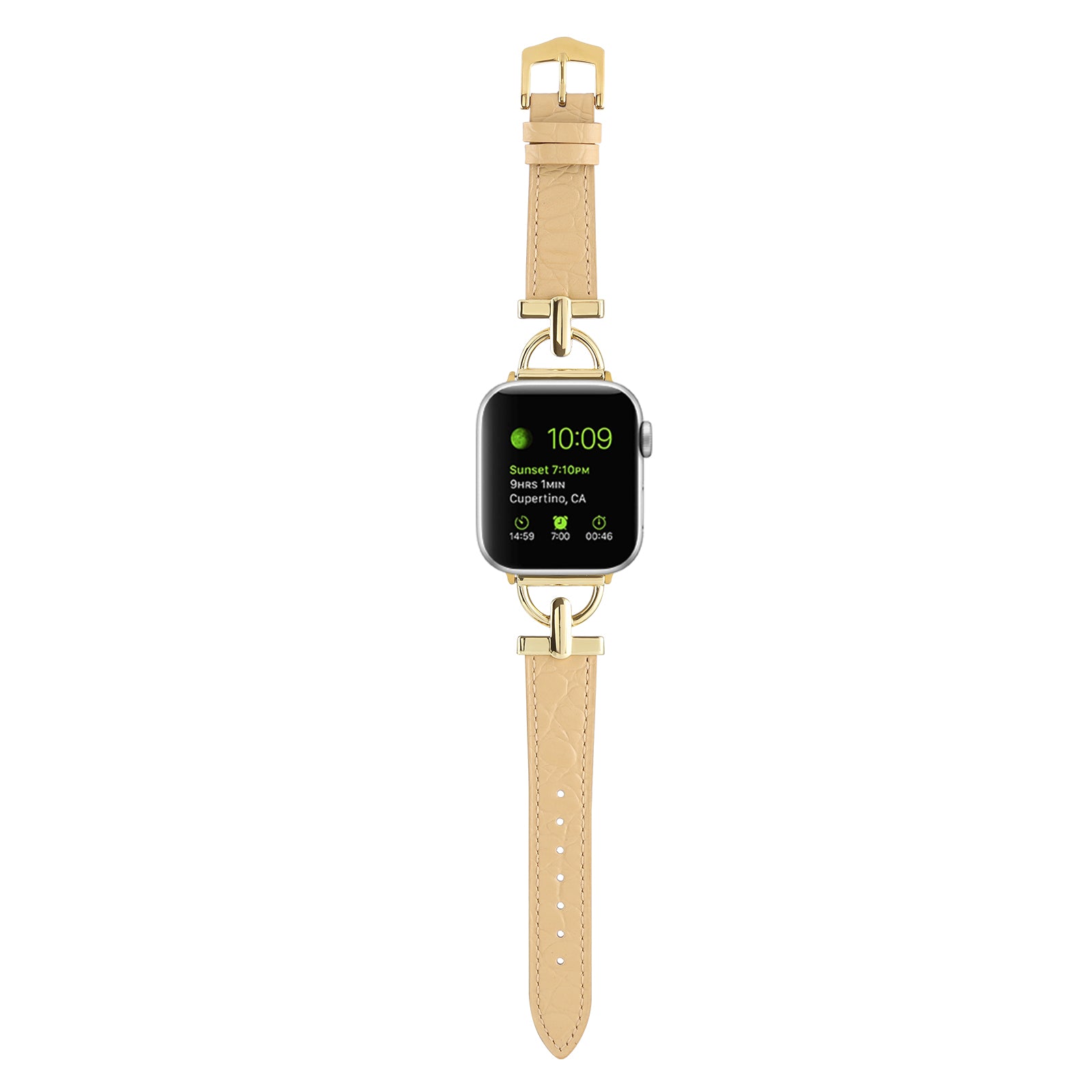 For Apple Watch Ultra Ultra 2 49mm Series 9 8 7 45mm 6 5 4 SE SE (2022) (2023) 44mm 3 2 1 42mm Genuine Leather Watch Strap Crocodile Texture D-Ring Band